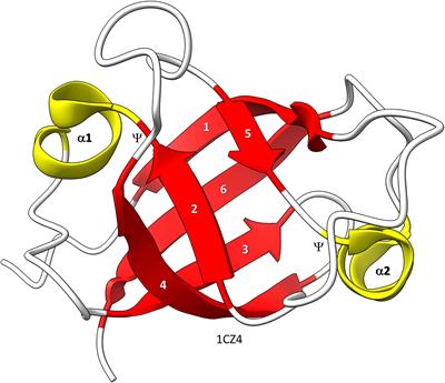 Early Evolution of Transcription Systems and Divergence of Archaea and Bacteria